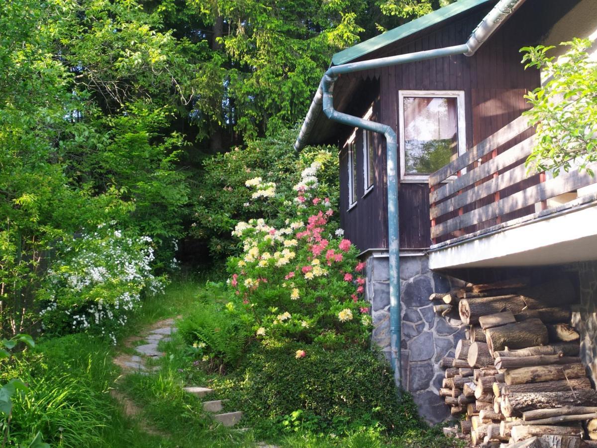 Chata Na Poskle U Lesa S Vyhledem Hutisko Exterior foto