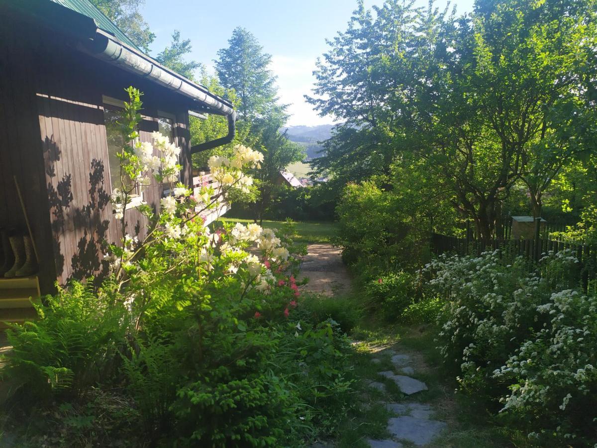 Chata Na Poskle U Lesa S Vyhledem Hutisko Exterior foto